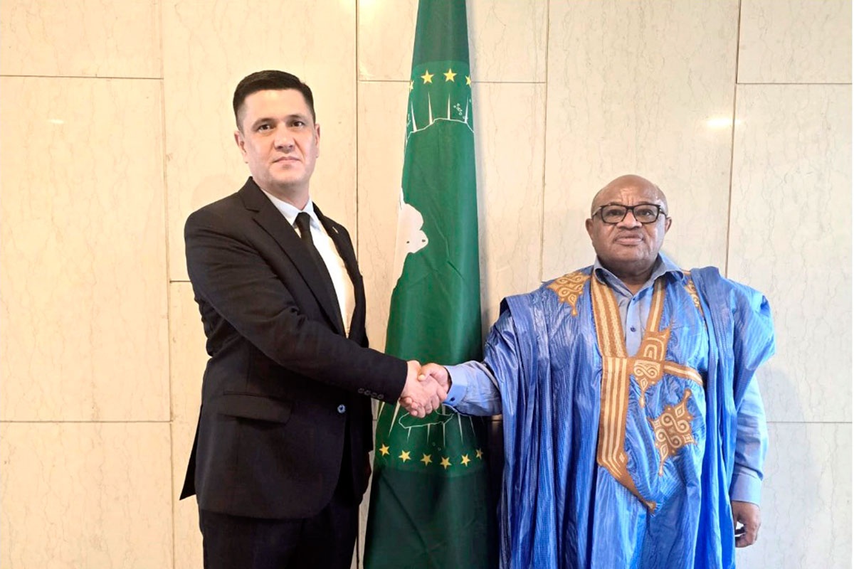 Turkmenistan advocates for expanding cooperation with African countries
